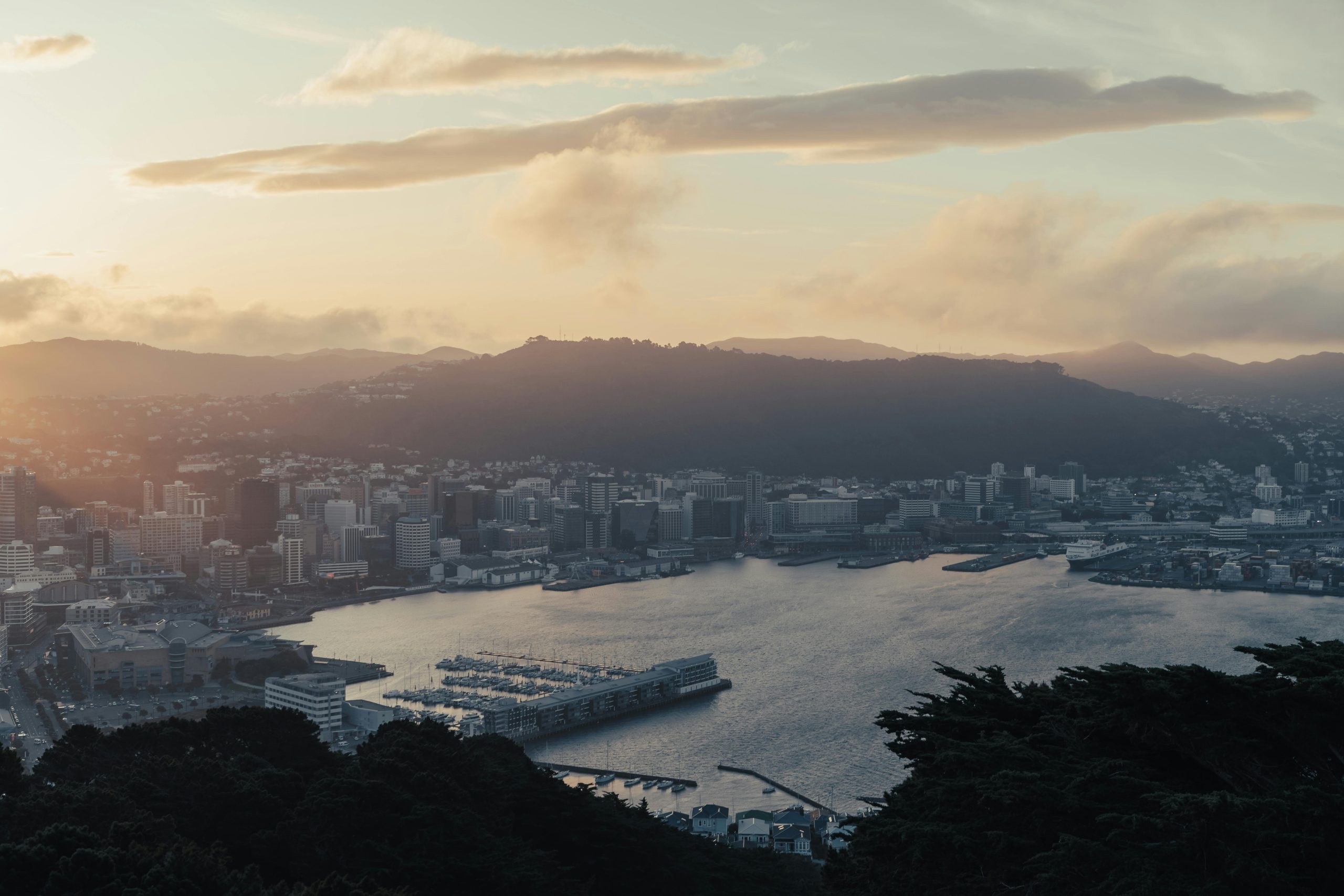 Is Wellington Worth Visiting?